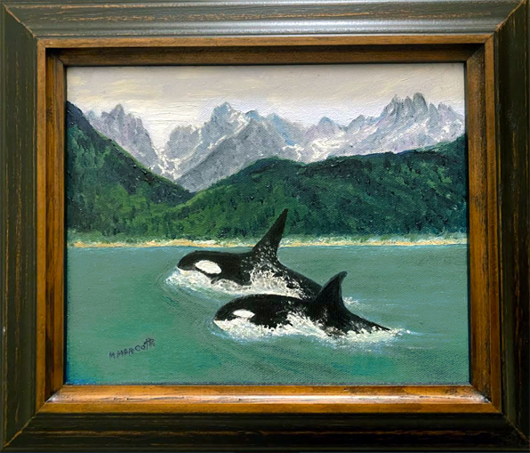 Taiya Inlet Orca