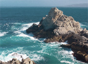 Point Lobos Natural Reserve, Monterey, California